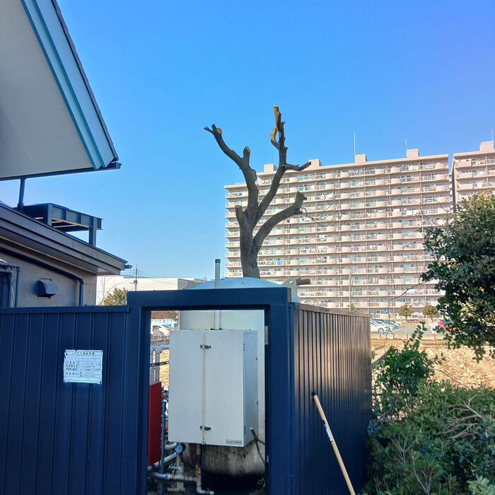 画像1676