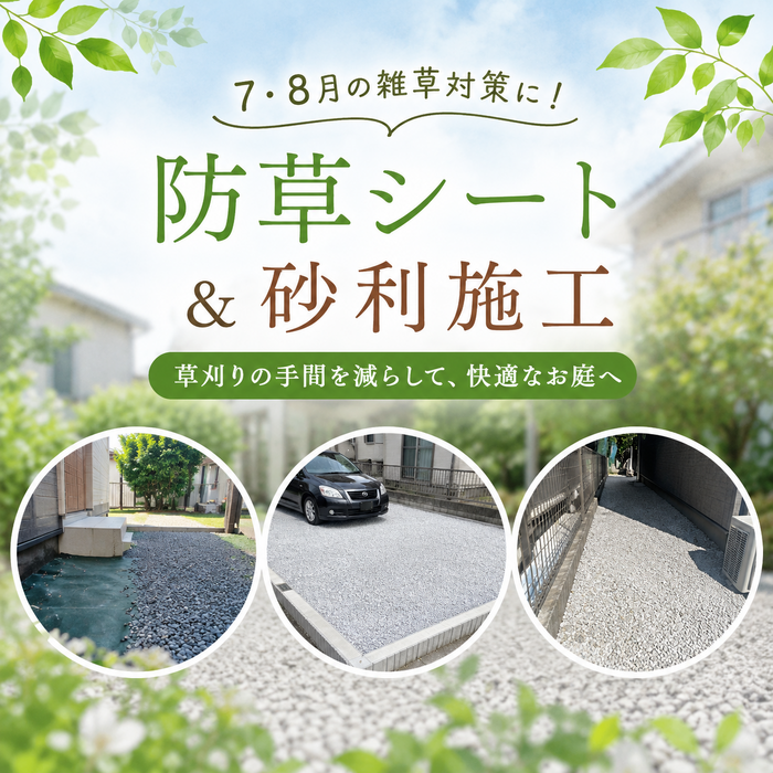 画像2215