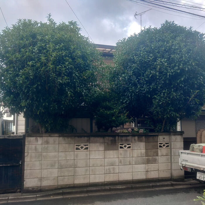 画像2229