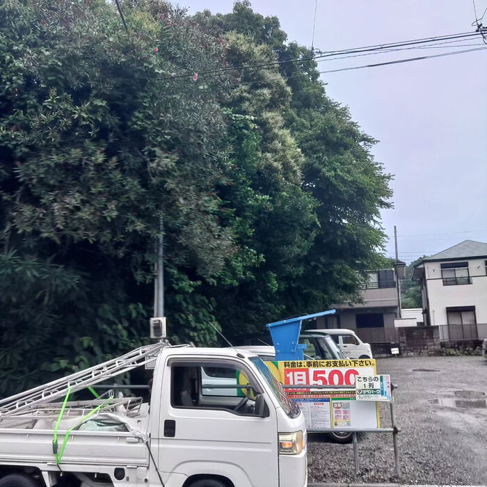 画像2238