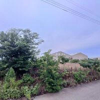 画像2247